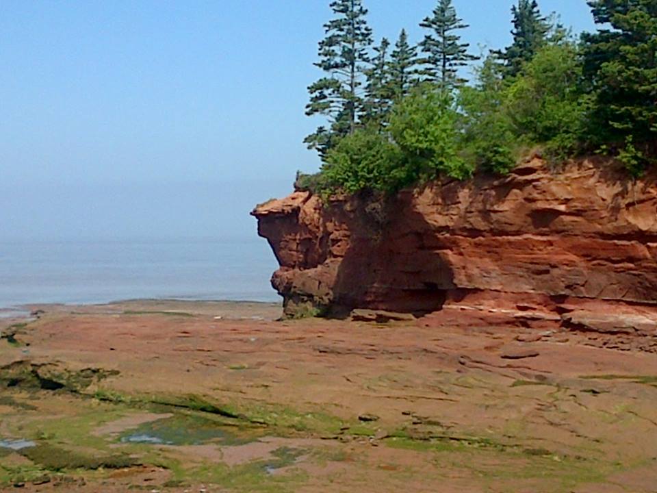 Medford Beach, Bay of Fundy