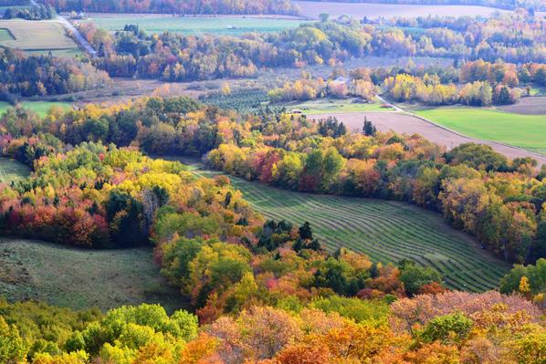 Fall Colors at the Look Off