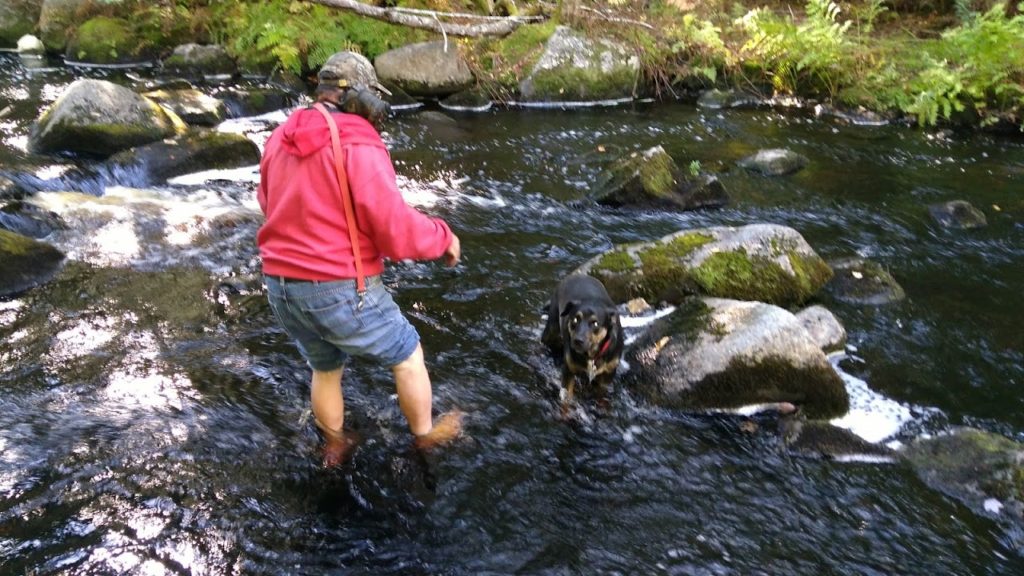 Crossing Atop Crystal Falls