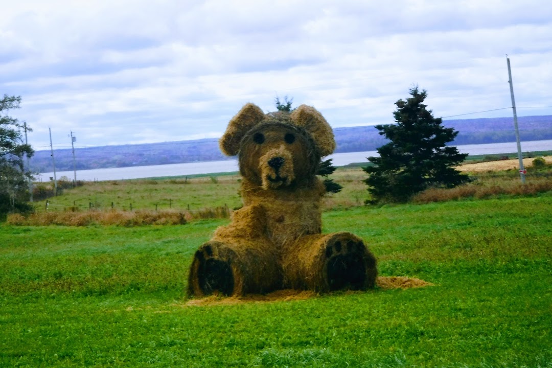 Bear-y Good Near Debert