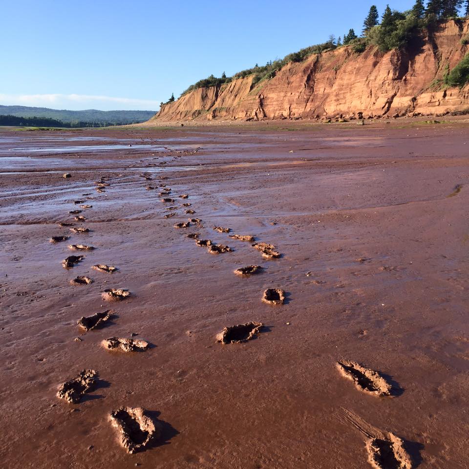 How to walk on the ocean floors