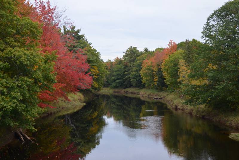 Annapolis River-Nova Scotia Day Trips