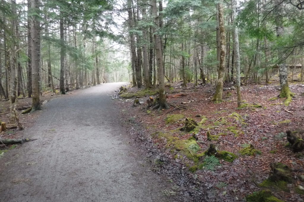 Sackville Lakes Park-Easy Hikes