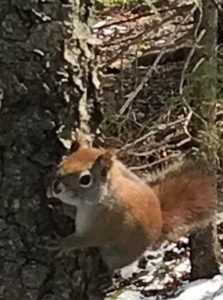 A friend. Hemlock Ravine-Easy Hikes