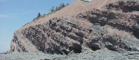 Joggins Fossil Cliffs-Nova Scotia Day Trips