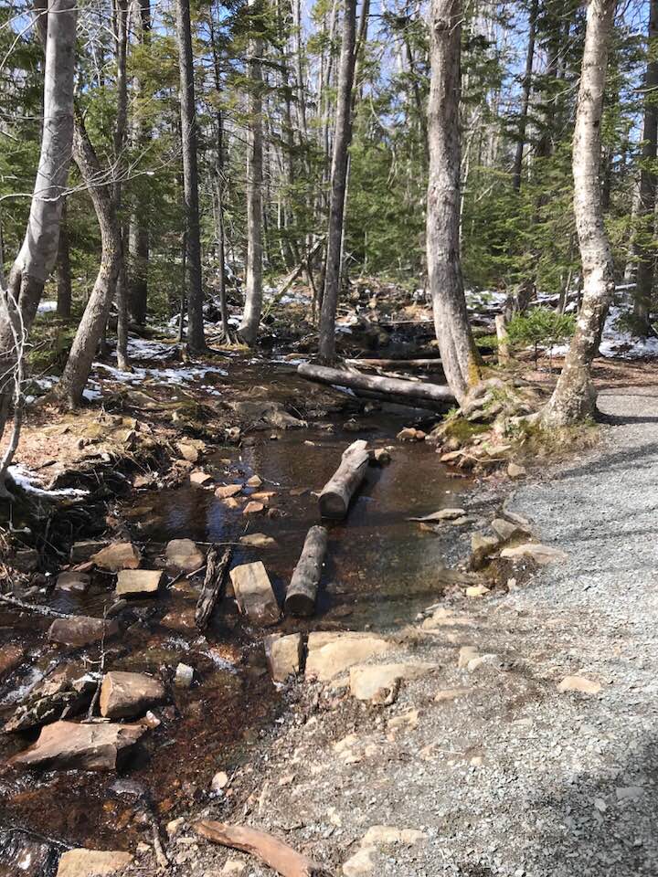 Hemlock Ravine-Easy Hikes