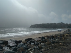 Queensland Beach-Nova Scotia Day Trips