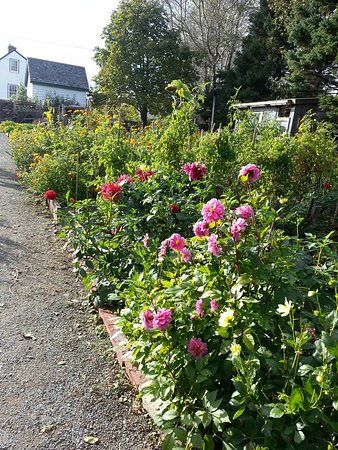 Photo courtesy Tripadvisor Flower Gardens