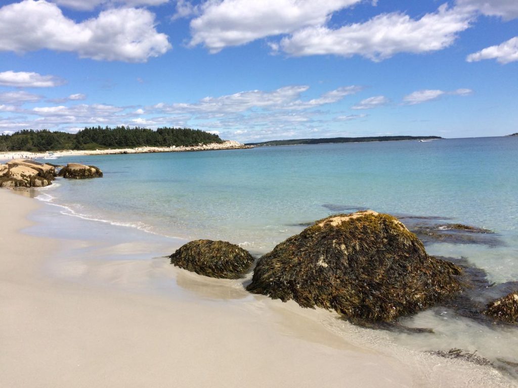 Beachcombing - Crystal Creek Lodge