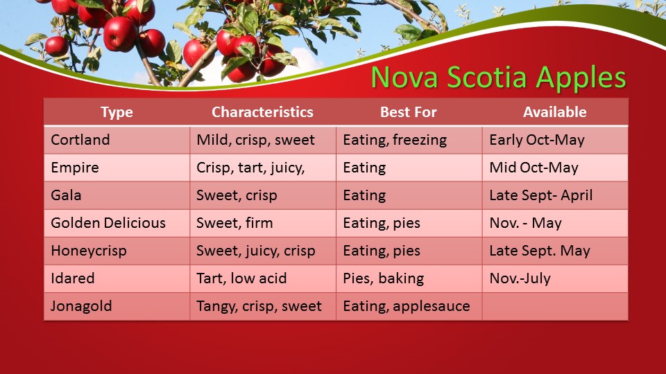 Apple Picking Varieties in Nova Scotia