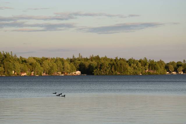 Aylesford Lake Beach