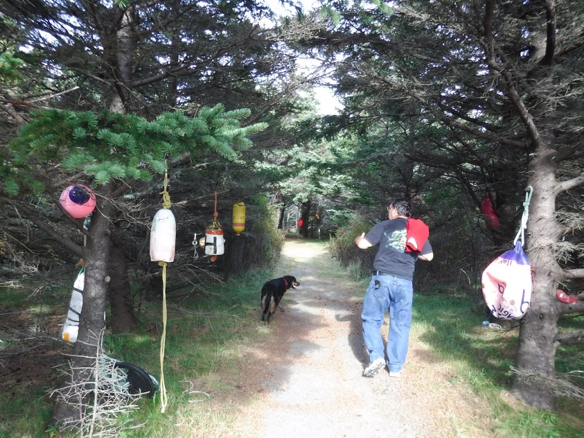 Strolling along Le Petit Bois in Clare