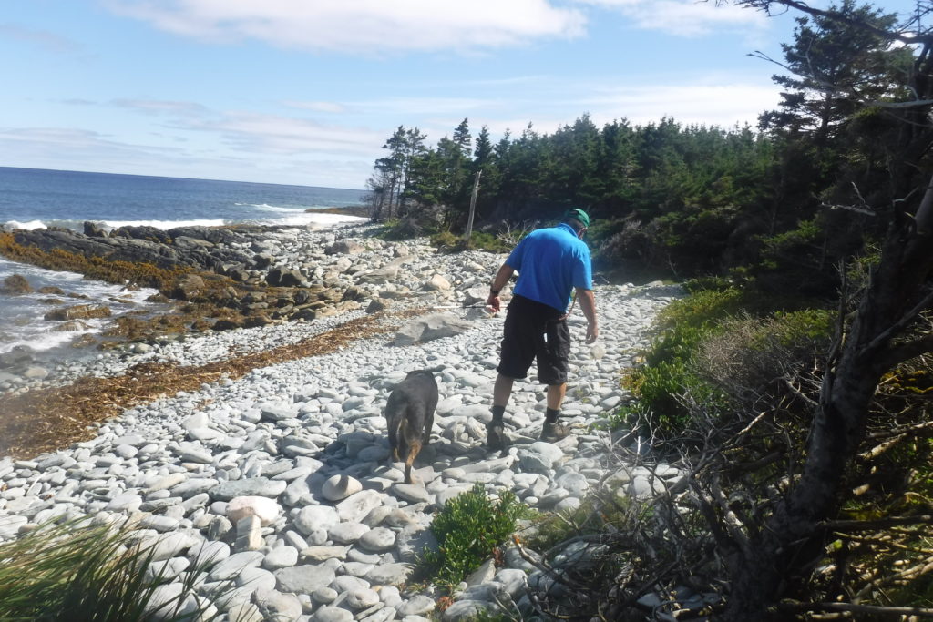 Headland Trail Taylor Head