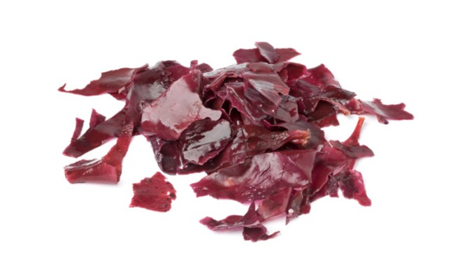 Dried Dulse Nova Scotia Food