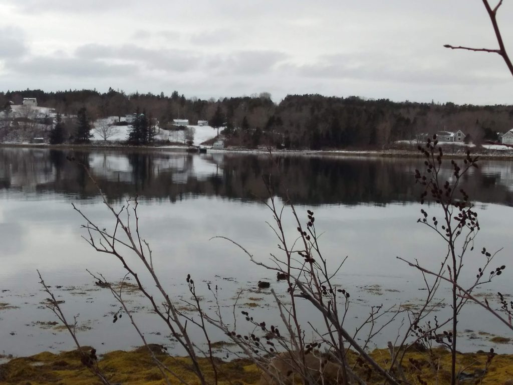 All is calm at Graves Island