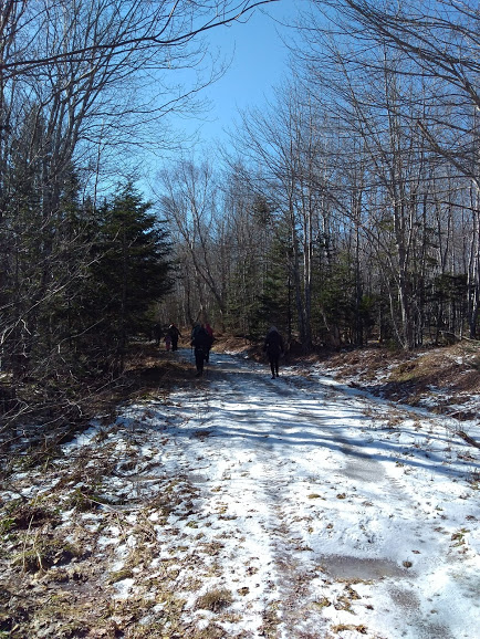 Forest Lake Trails