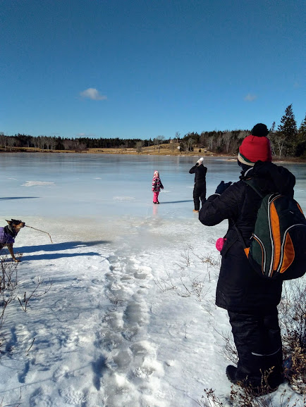 Cameron Lake Forest Hills Trails