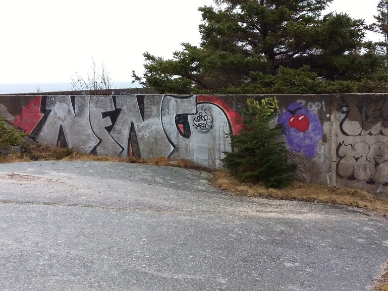 Graffiti? Art? You decide.Polly's Cove Hiking Trail