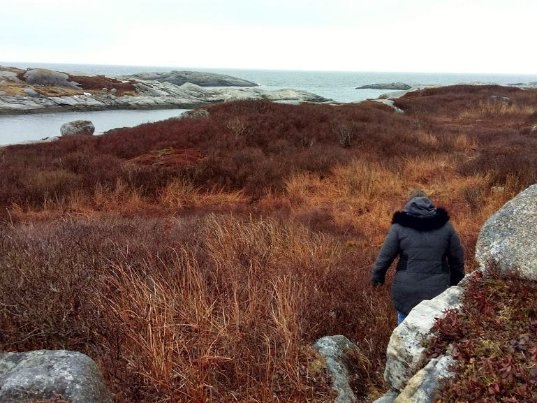 Slog thru the bog-Polly's Cove Hiking Trail