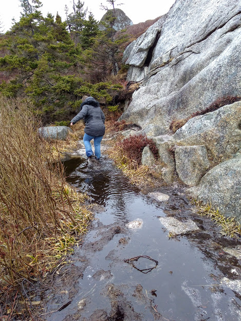 Bit wet Polly's Cove Hiking Trail