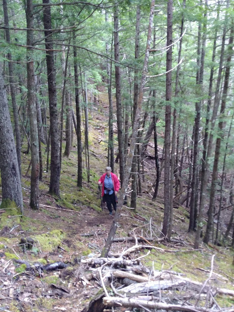 Climbing the bank at Meander River Falls 