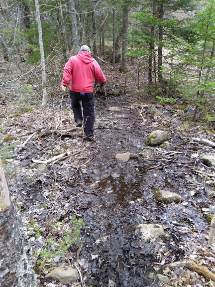 Along the Fundy Shore Trail