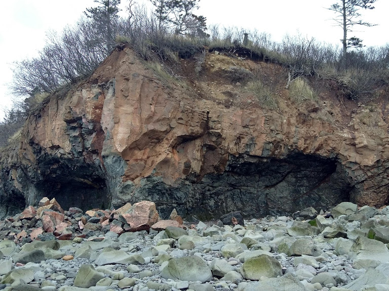 Rock fall from the cliffs eroded by the might Bay of Fundy