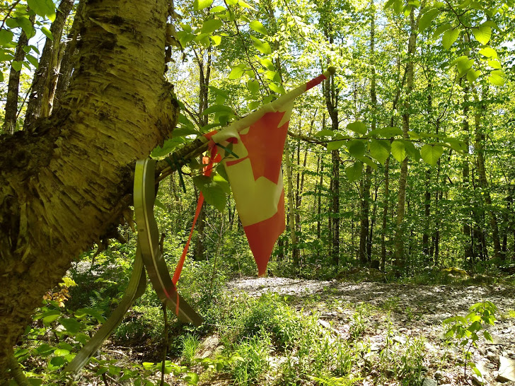 Trail marker for Mozes Mountain.The flag is not there anymore