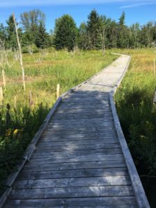 Cheverie Saltmarsh Trail-Trails in West Hants