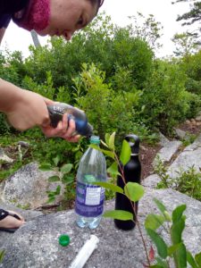 Our water system for the weekend-LifeStraw