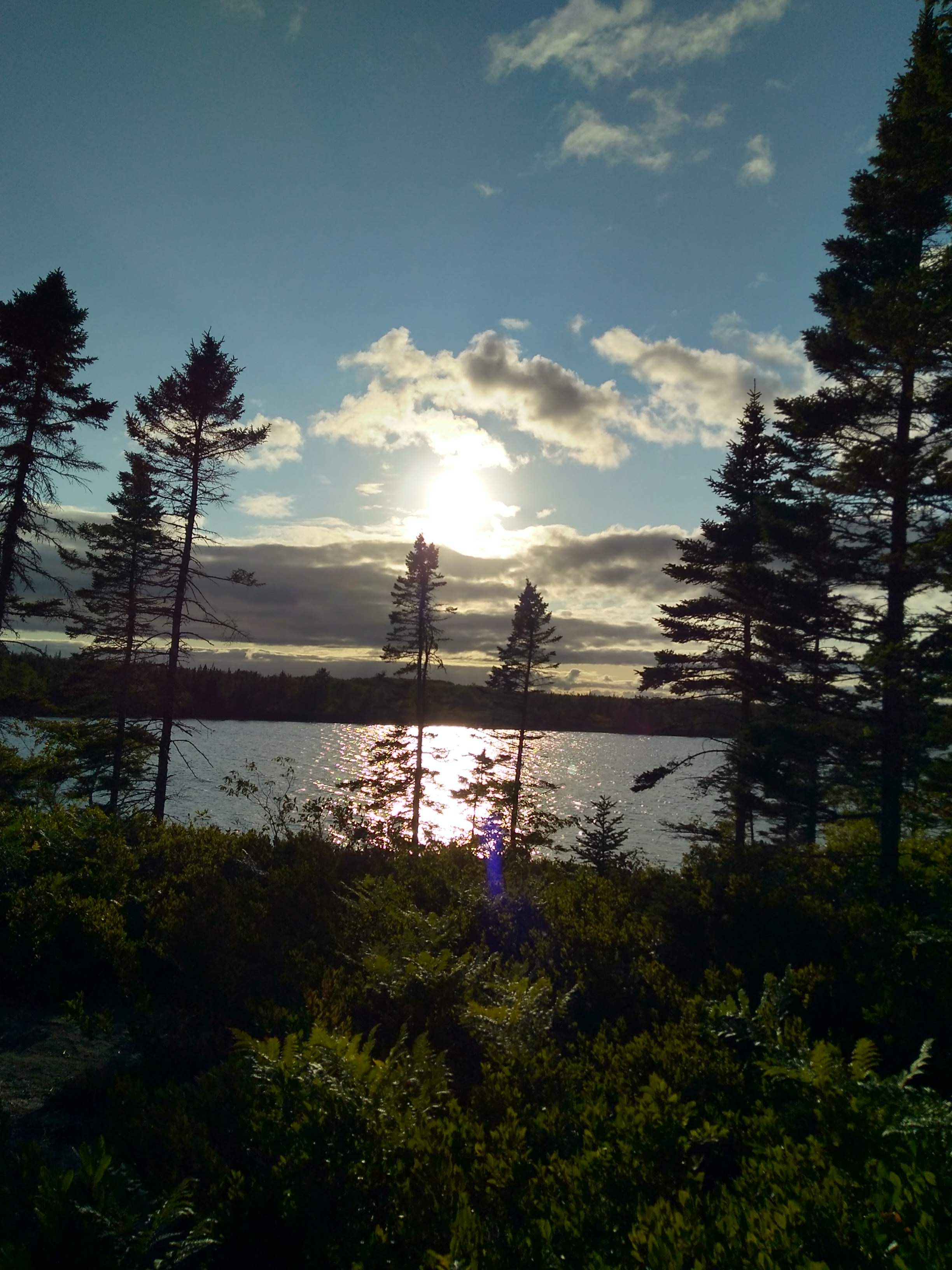 A beautiful sunset on the Bluff Wilderness Trail