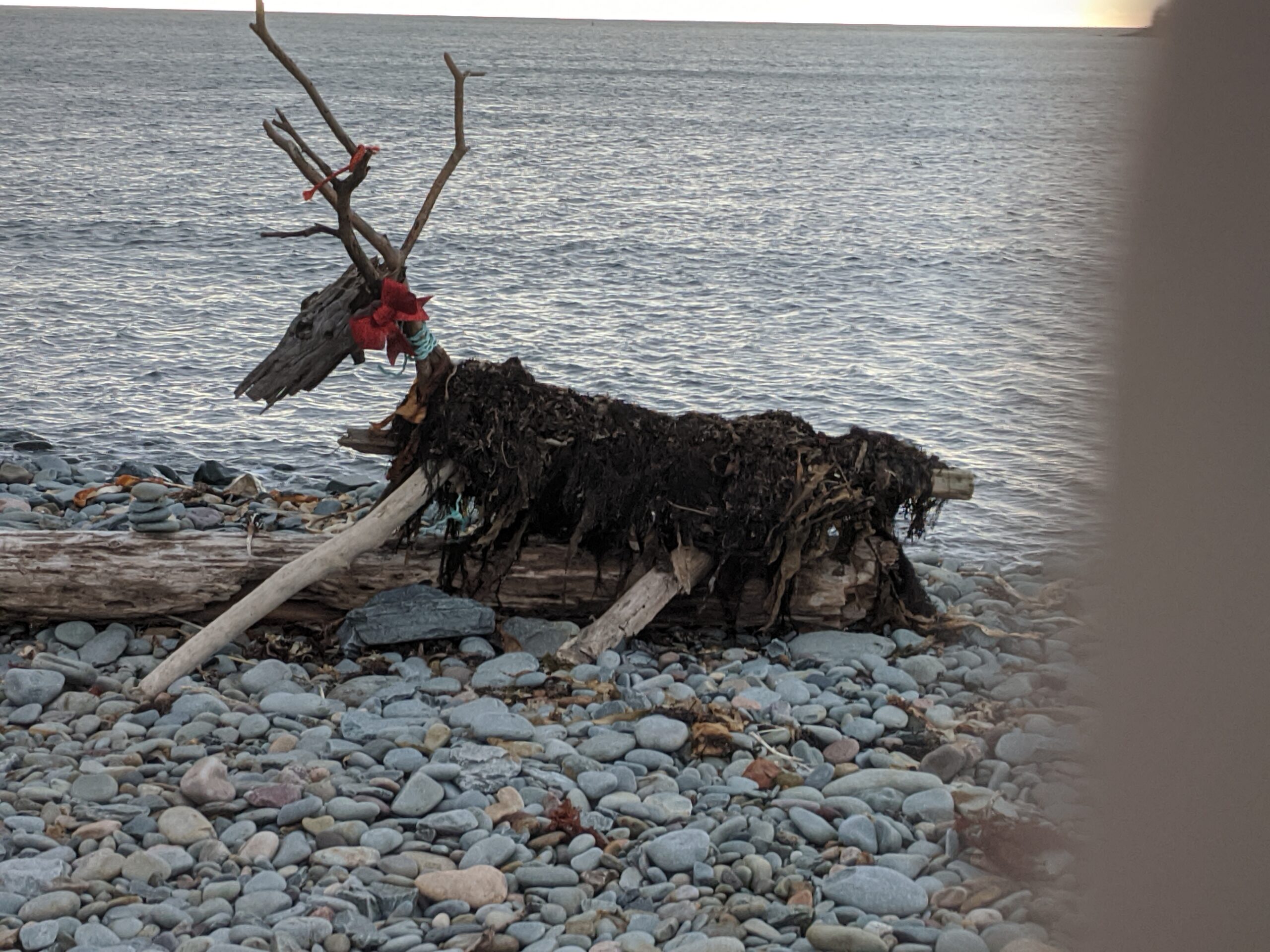 Like this driftwood reindeer off the boardwalk at Fishermen's Cove