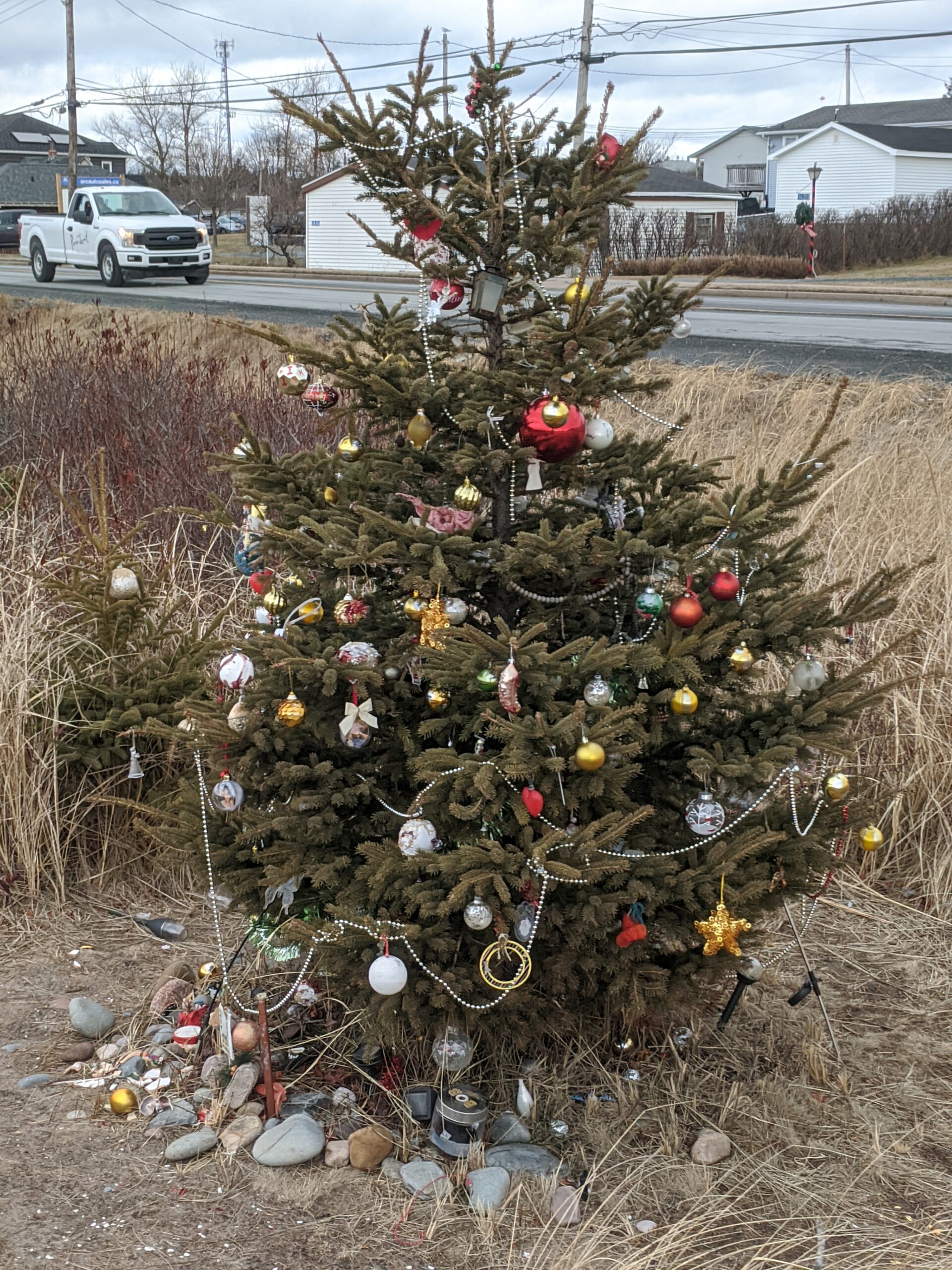 Christmas Tree along the boardwalk in Fishermen's Cove