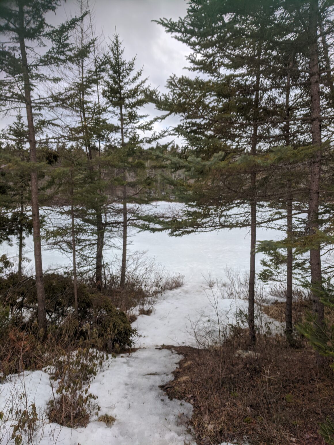 Lots of great places to stop for a break along the 9 Mile River Trail