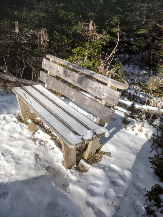 Along the Avondale Hiking Trail