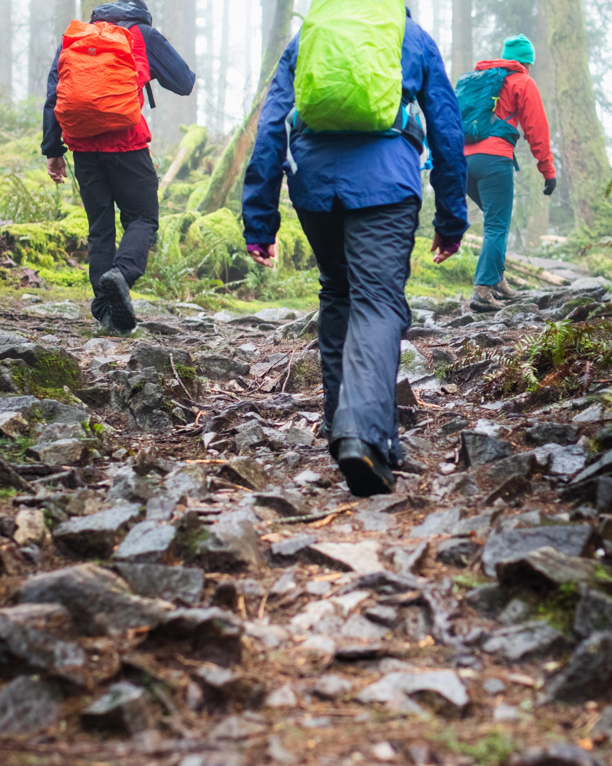 10 Tips For Hiking In The Rain