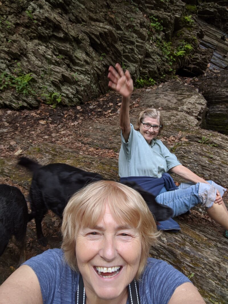 Morse's (Moore's) Brook Falls