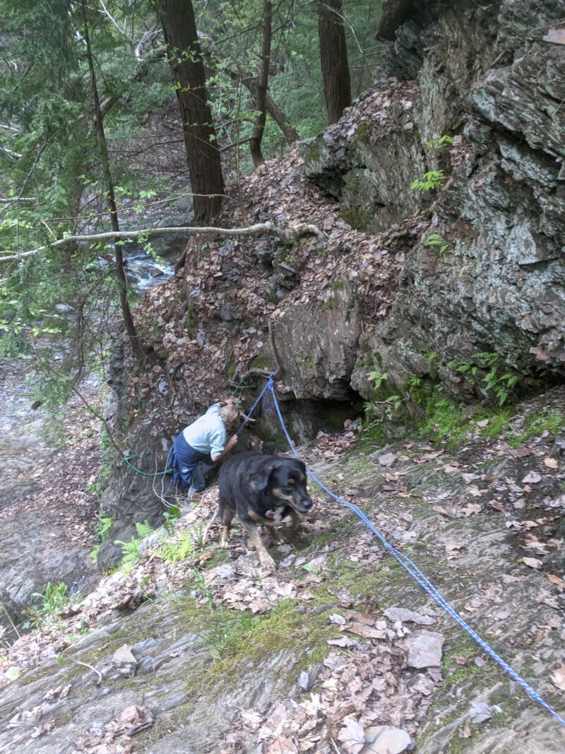 Climbing Up to Morse's Brook Falls