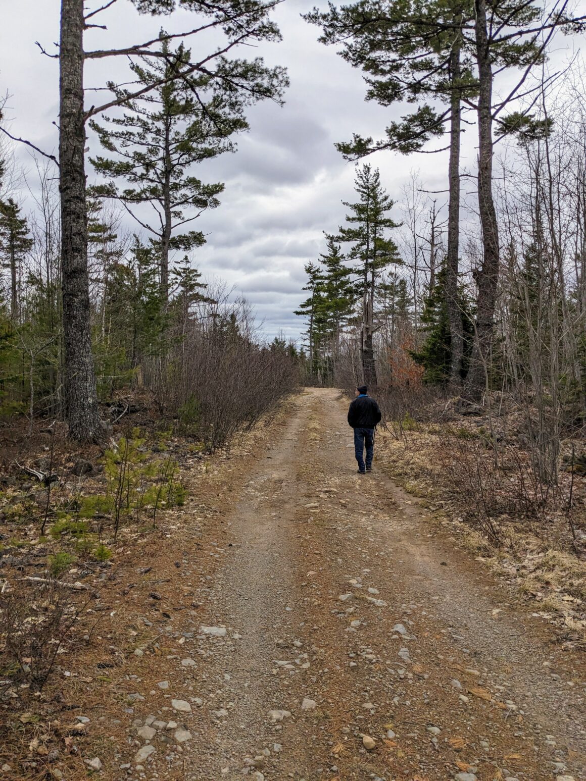Walking to Shingle Mill Falls