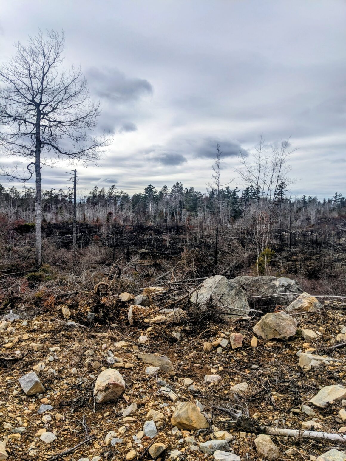 A sad view after 2025's wildfire in Aylesford, Kings Co., NS
