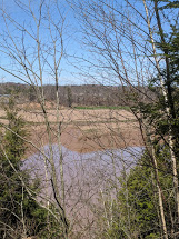 Noggins Farm Trail- View of dyke