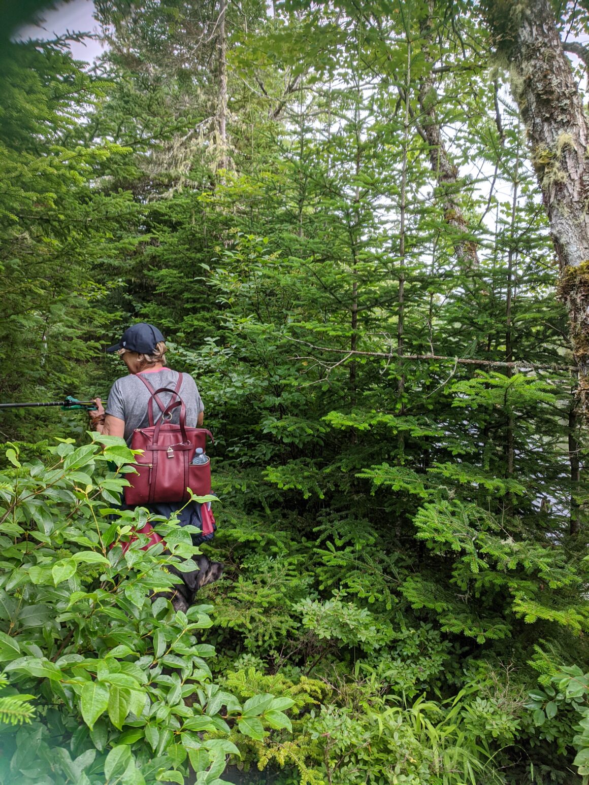 Liscombe River Trail