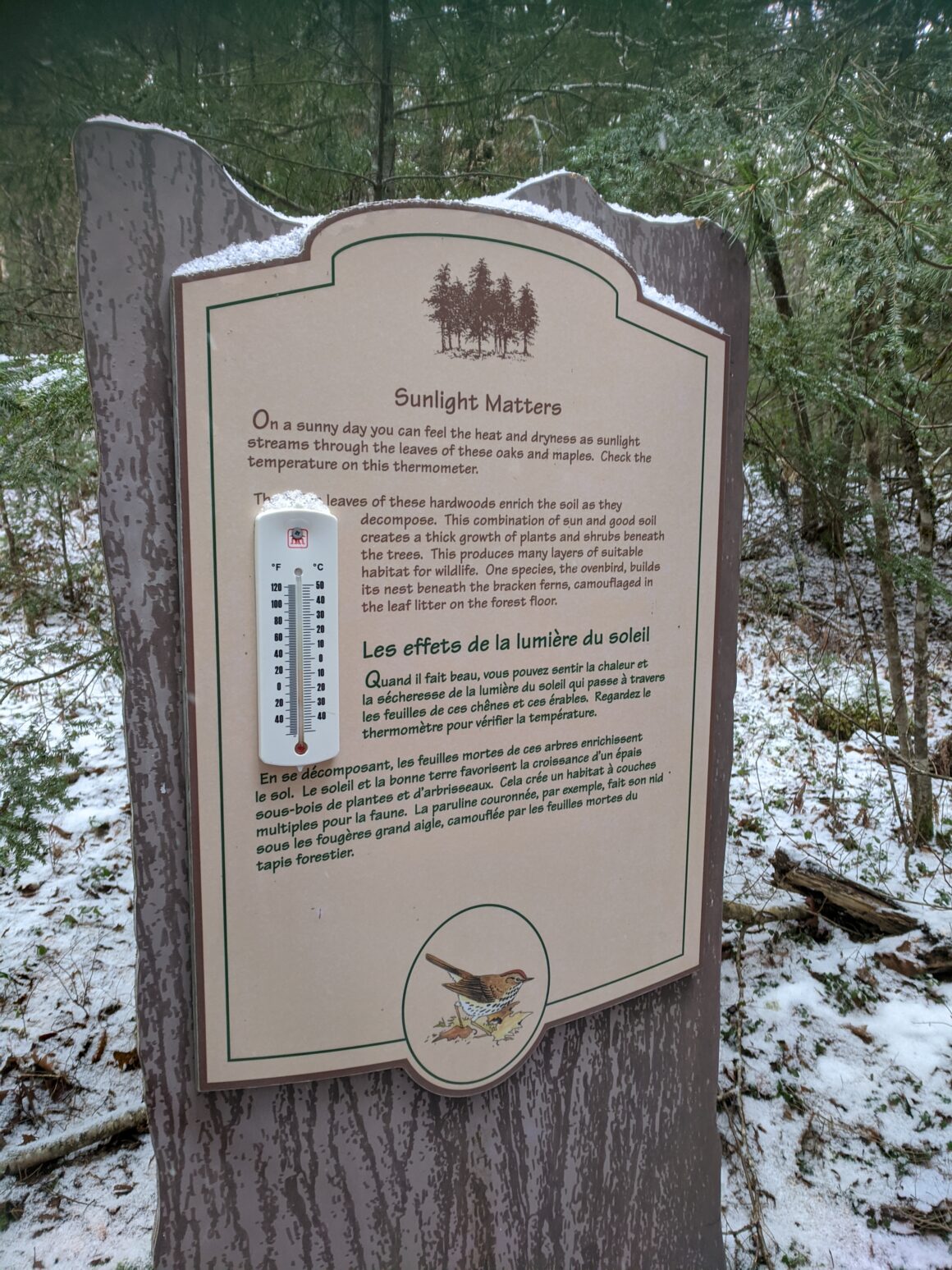 Hemlocks and Hardwoods Trail