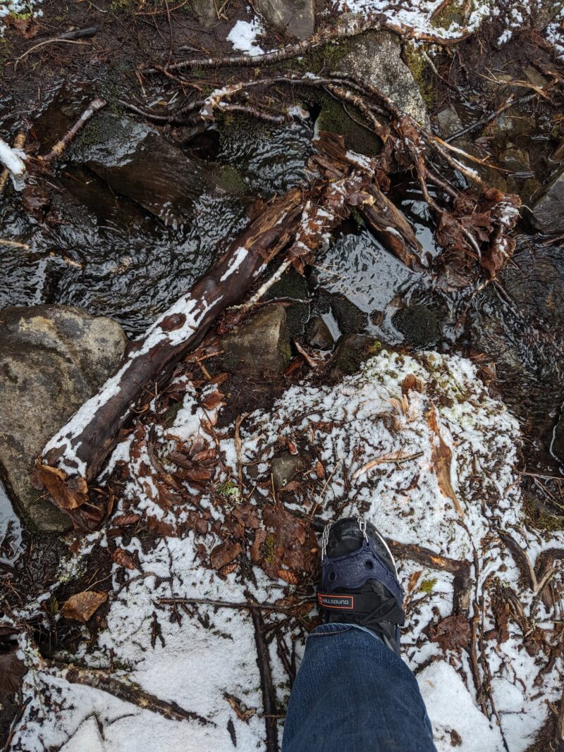 Stream Crossing along the Red Spruce Loop