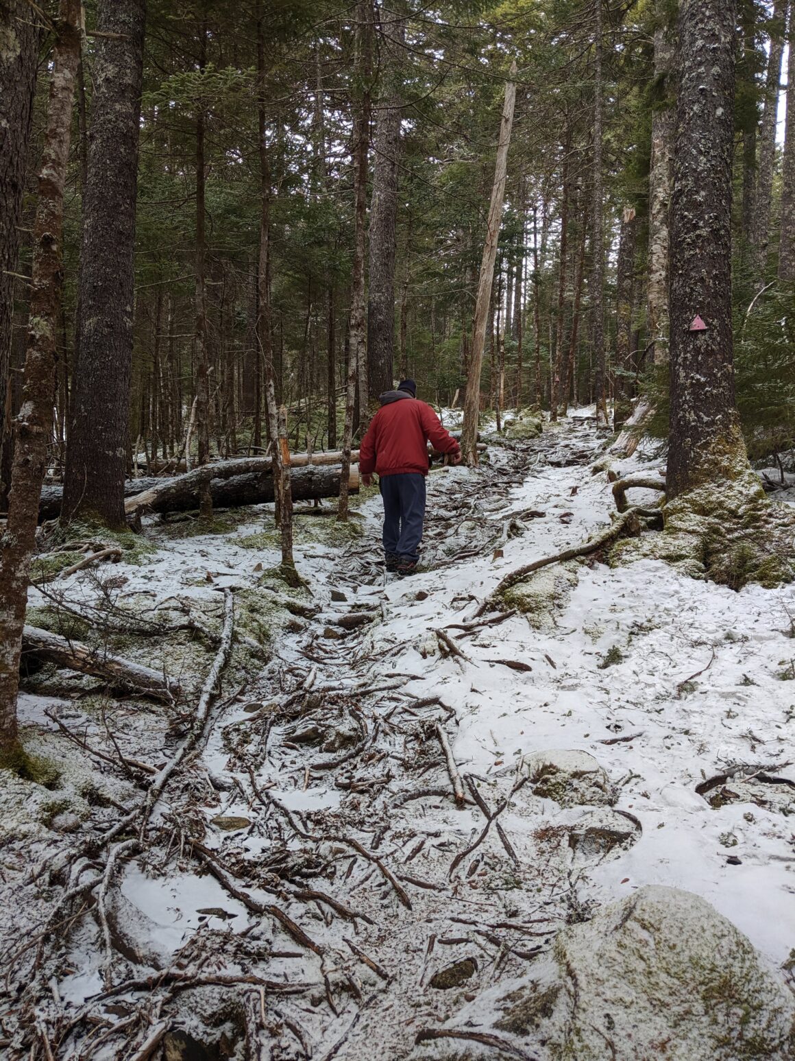 Hiking the Red Spruce Loop