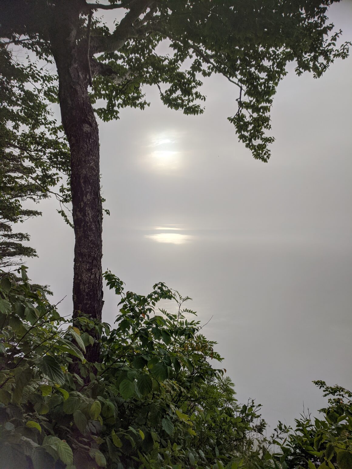 Favorite HikesA foggy sunrise at Blomidon