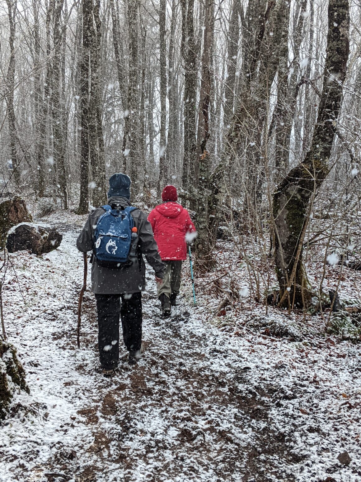 Hiking Cape Split during Mud Season