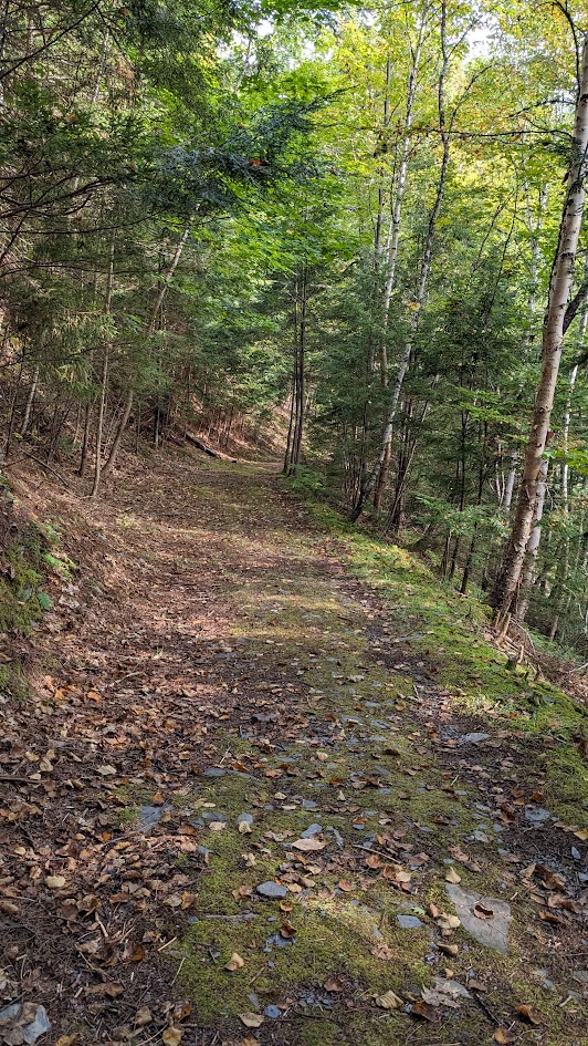 Hemlock Ravine trail Wol