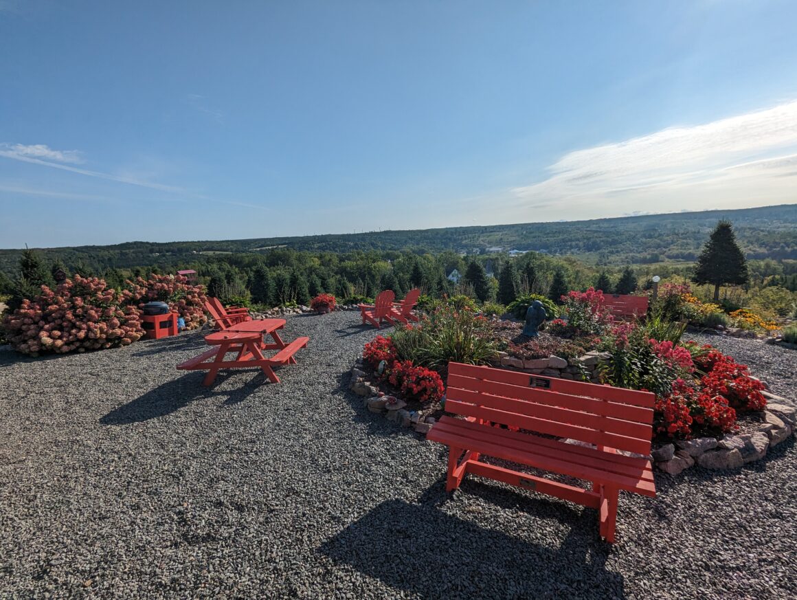 View up by Ruby''s Ladybug Lodge . Ruby's Trail