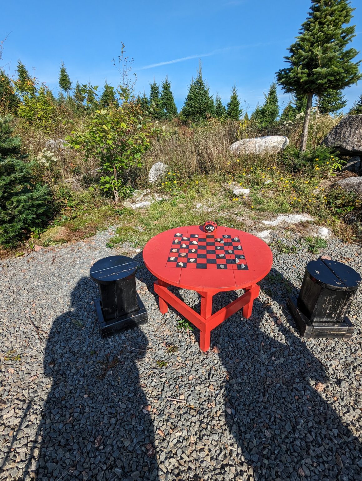 View up by Ruby''s Ladybug Lodge . Ruby's Trail